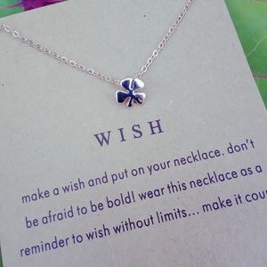 🆕️Make a Wish reminder necklace!